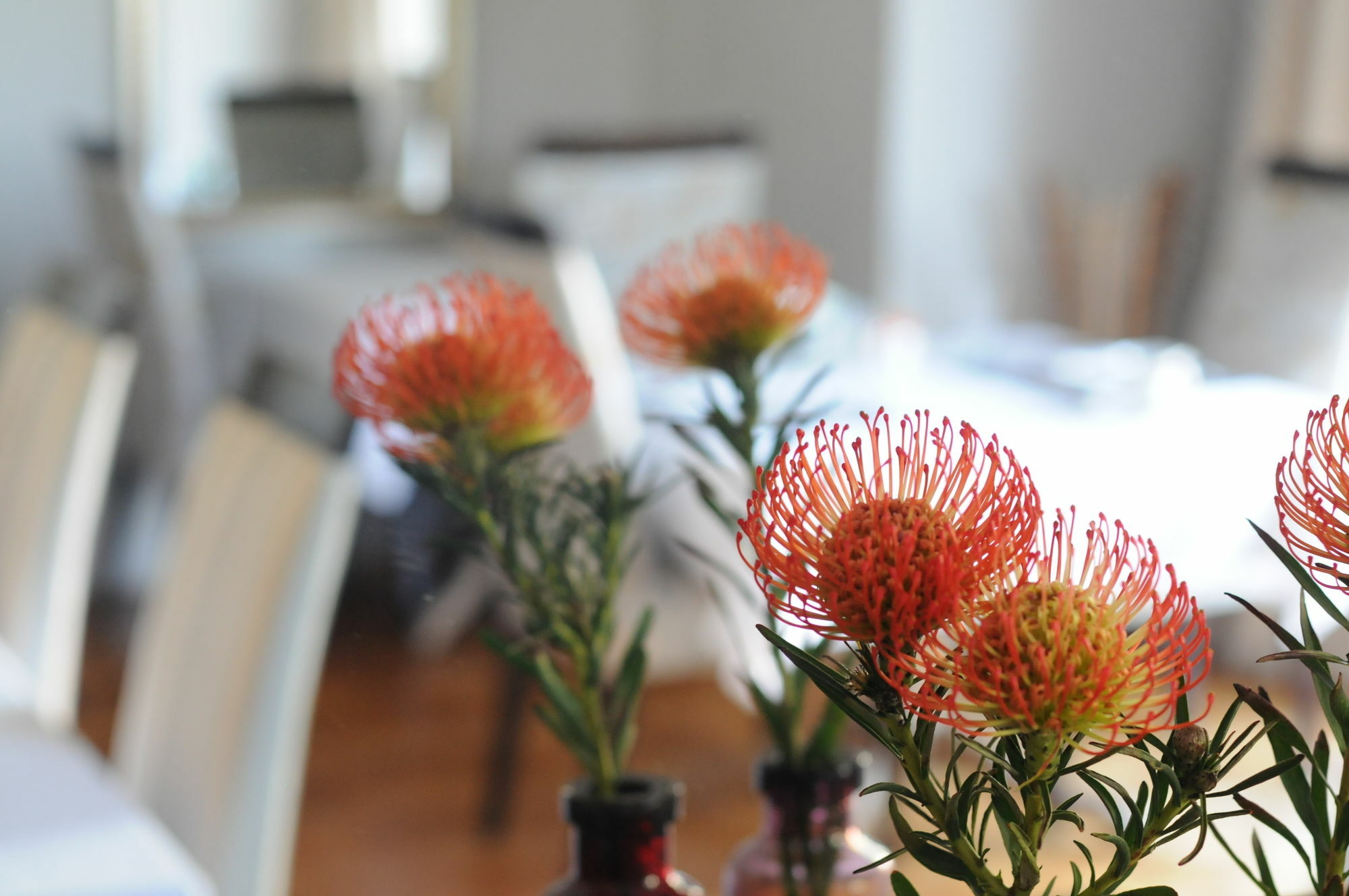 Abbey Manor Luxury Guesthouse Cape Town Exterior photo